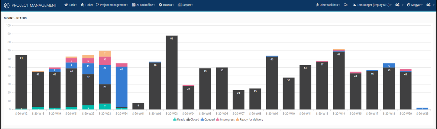 Projektstatus-Dashboard mit Diagrammen